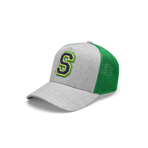 AYRTON SENNA Collegiate Cap - grey SEN23_CAS_COG